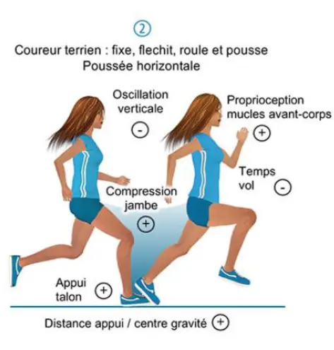 coureur terrien
